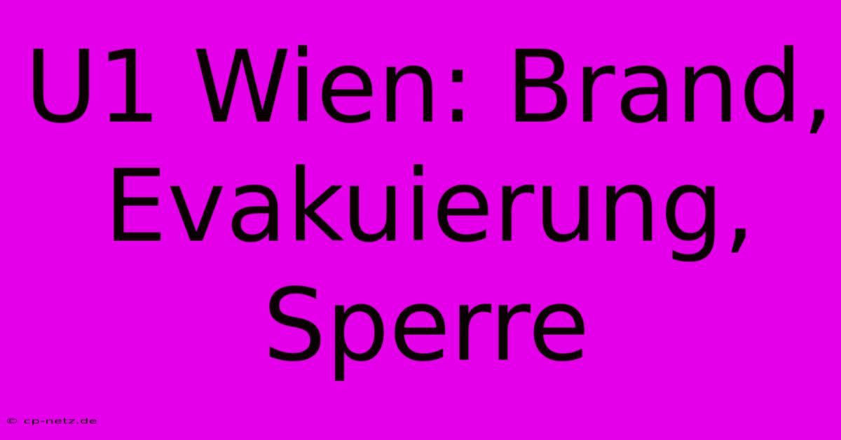 U1 Wien: Brand, Evakuierung, Sperre