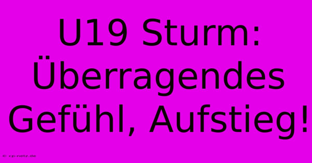 U19 Sturm: Überragendes Gefühl, Aufstieg!