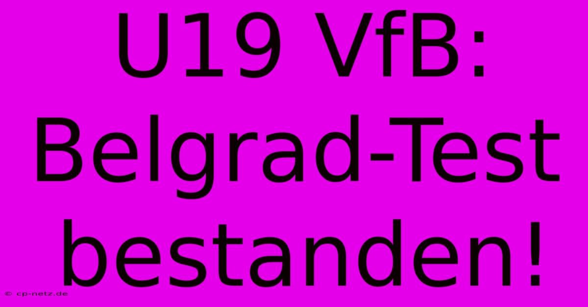 U19 VfB:  Belgrad-Test Bestanden!