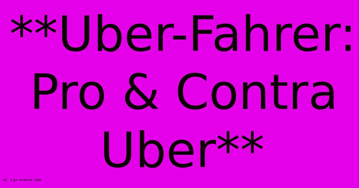 **Uber-Fahrer:  Pro & Contra Uber**