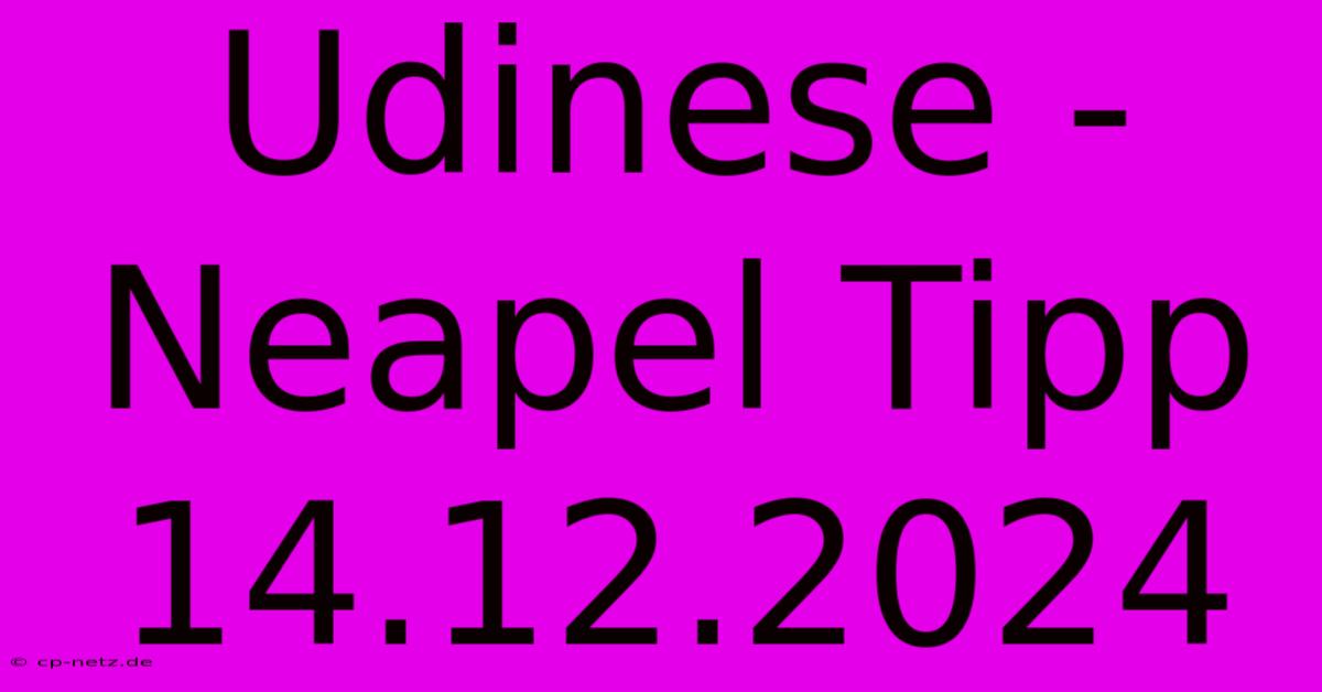 Udinese - Neapel Tipp 14.12.2024