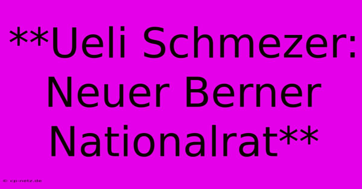 **Ueli Schmezer: Neuer Berner Nationalrat**