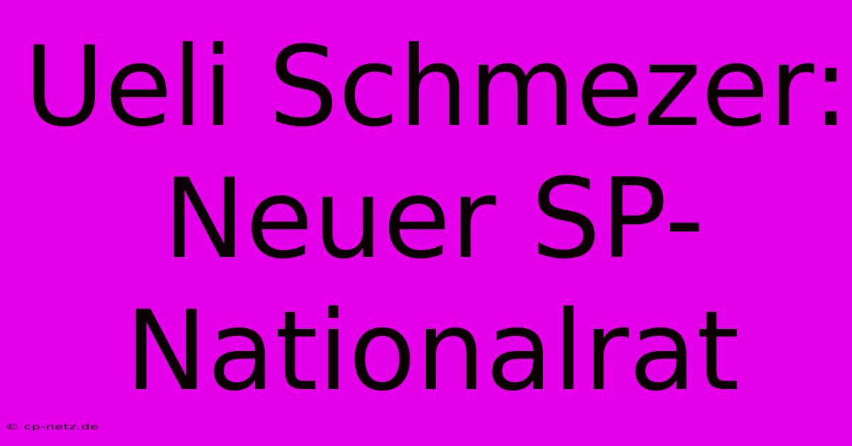 Ueli Schmezer: Neuer SP-Nationalrat