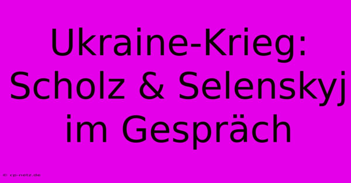 Ukraine-Krieg: Scholz & Selenskyj Im Gespräch