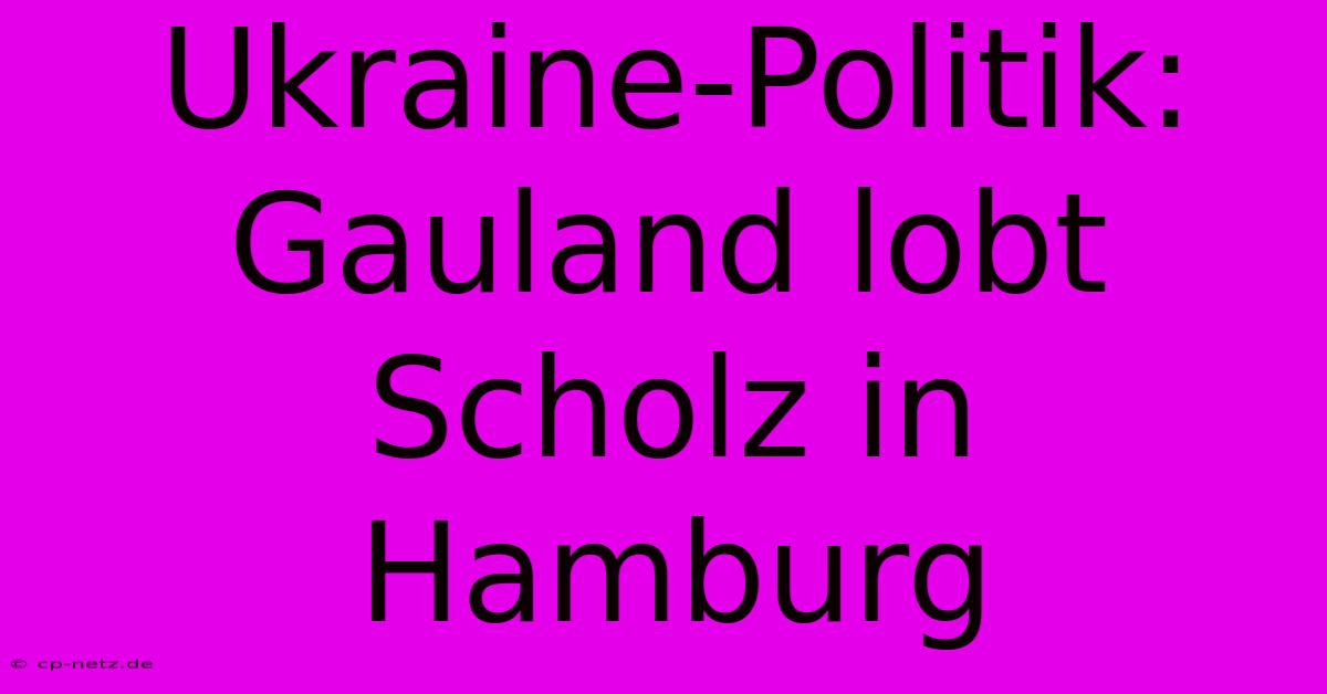 Ukraine-Politik: Gauland Lobt Scholz In Hamburg