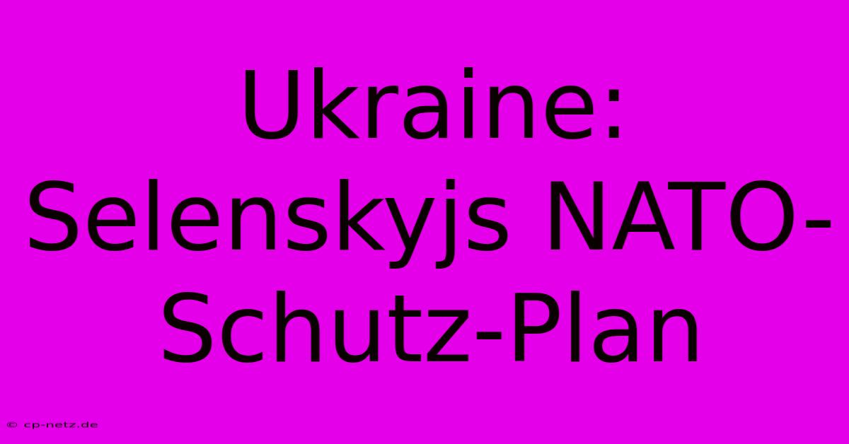 Ukraine: Selenskyjs NATO-Schutz-Plan