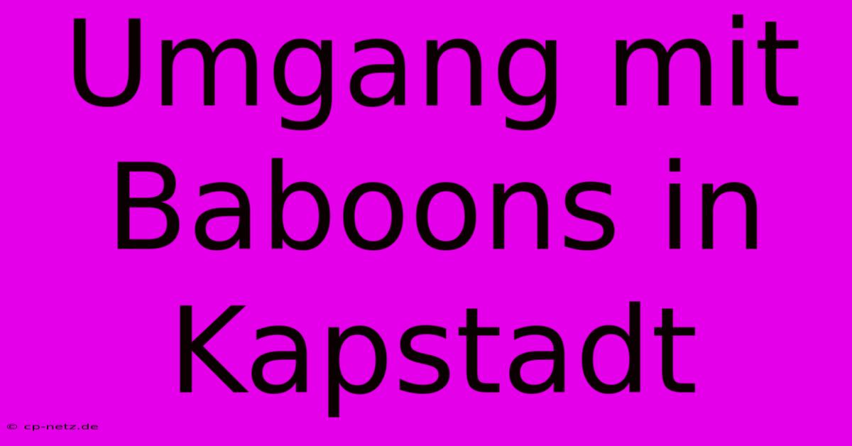 Umgang Mit Baboons In Kapstadt