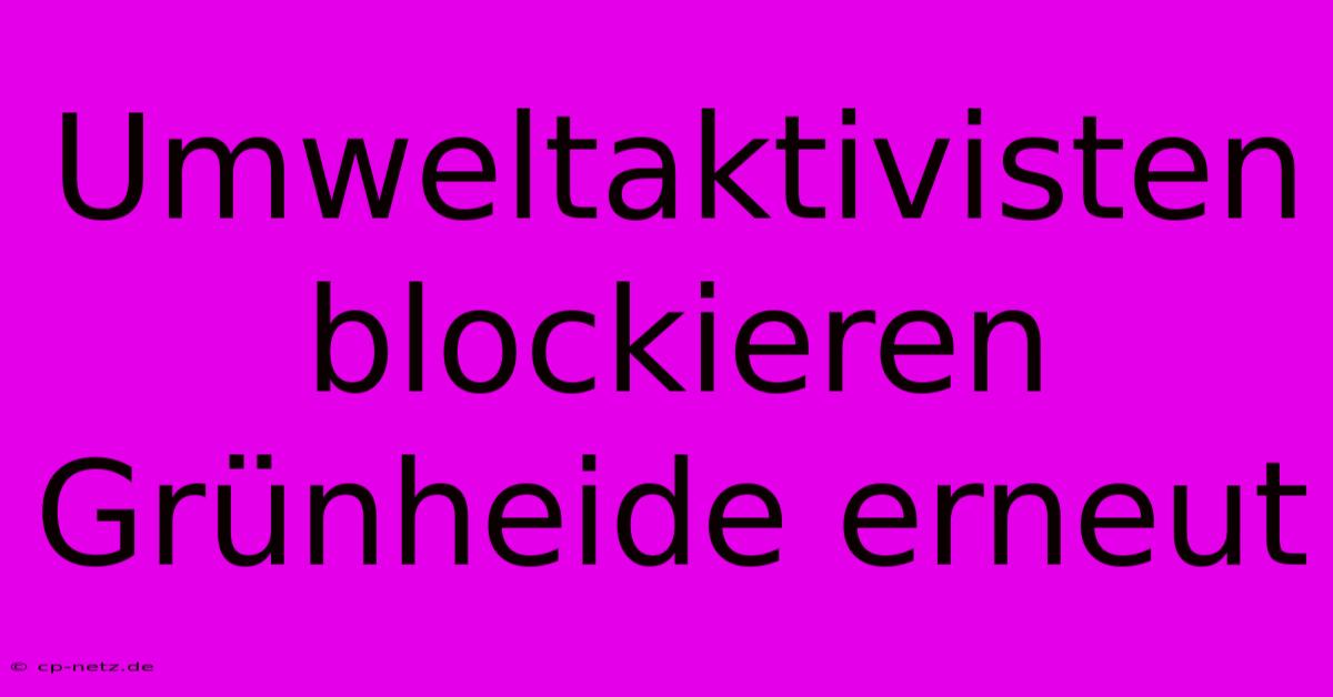 Umweltaktivisten Blockieren Grünheide Erneut