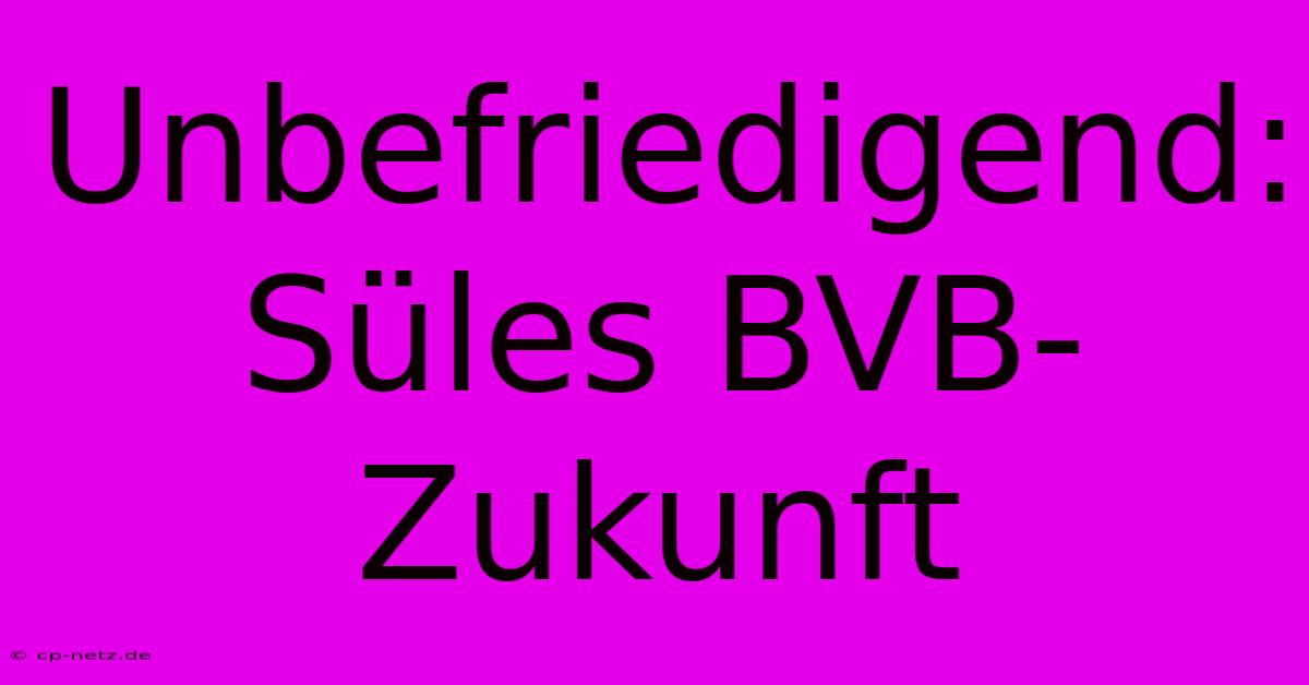 Unbefriedigend: Süles BVB-Zukunft