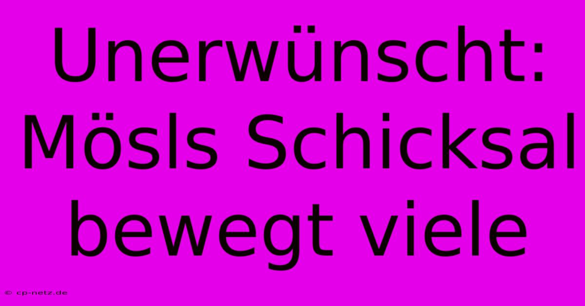 Unerwünscht:  Mösls Schicksal Bewegt Viele