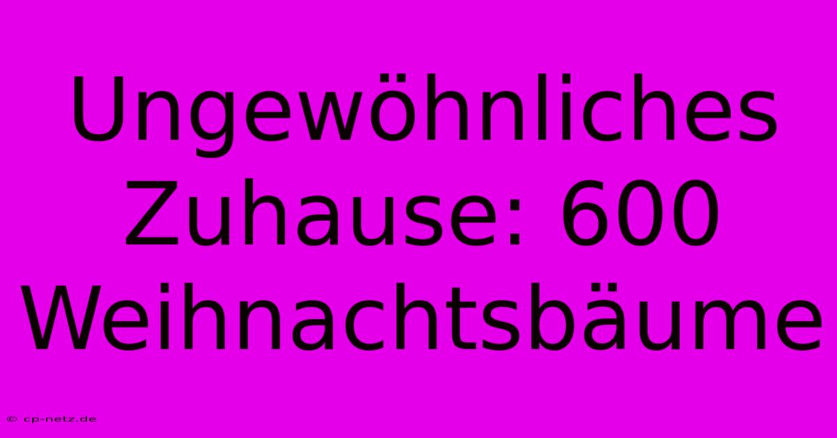 Ungewöhnliches Zuhause: 600 Weihnachtsbäume