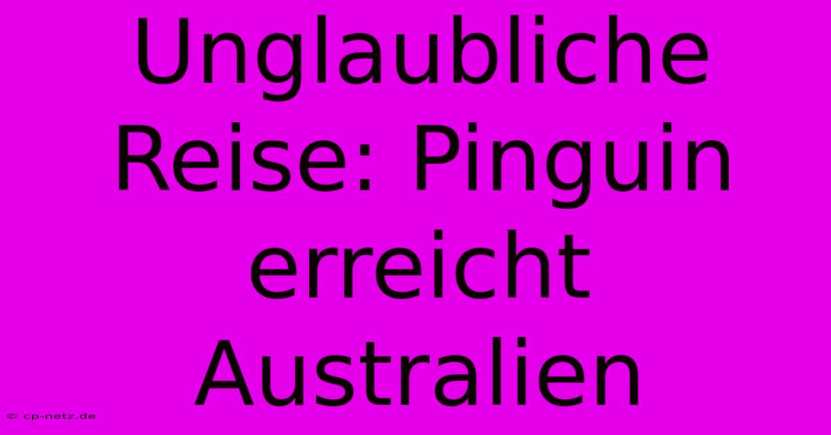 Unglaubliche Reise: Pinguin Erreicht Australien