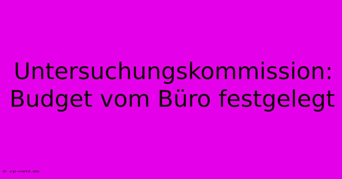 Untersuchungskommission: Budget Vom Büro Festgelegt