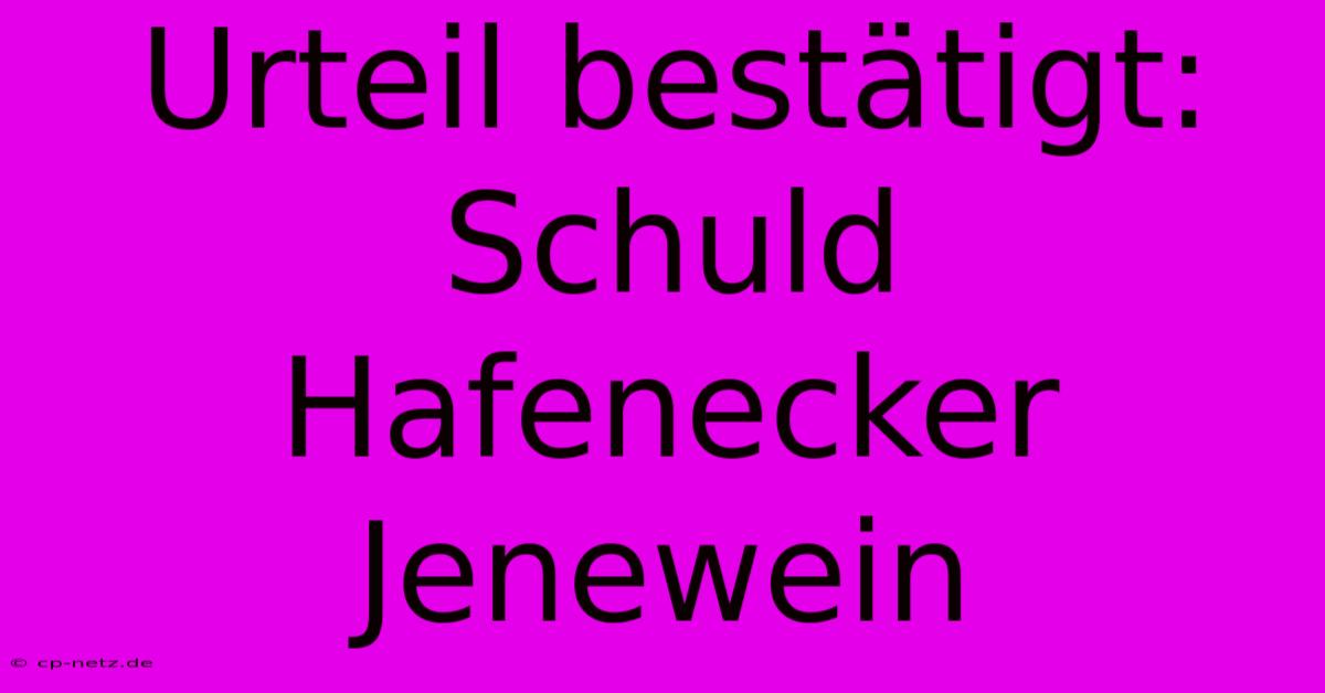 Urteil Bestätigt: Schuld Hafenecker Jenewein