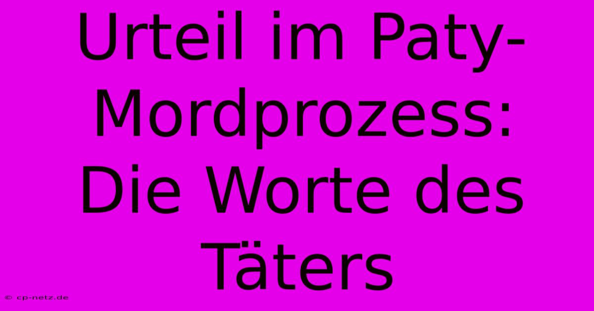 Urteil Im Paty-Mordprozess:  Die Worte Des Täters