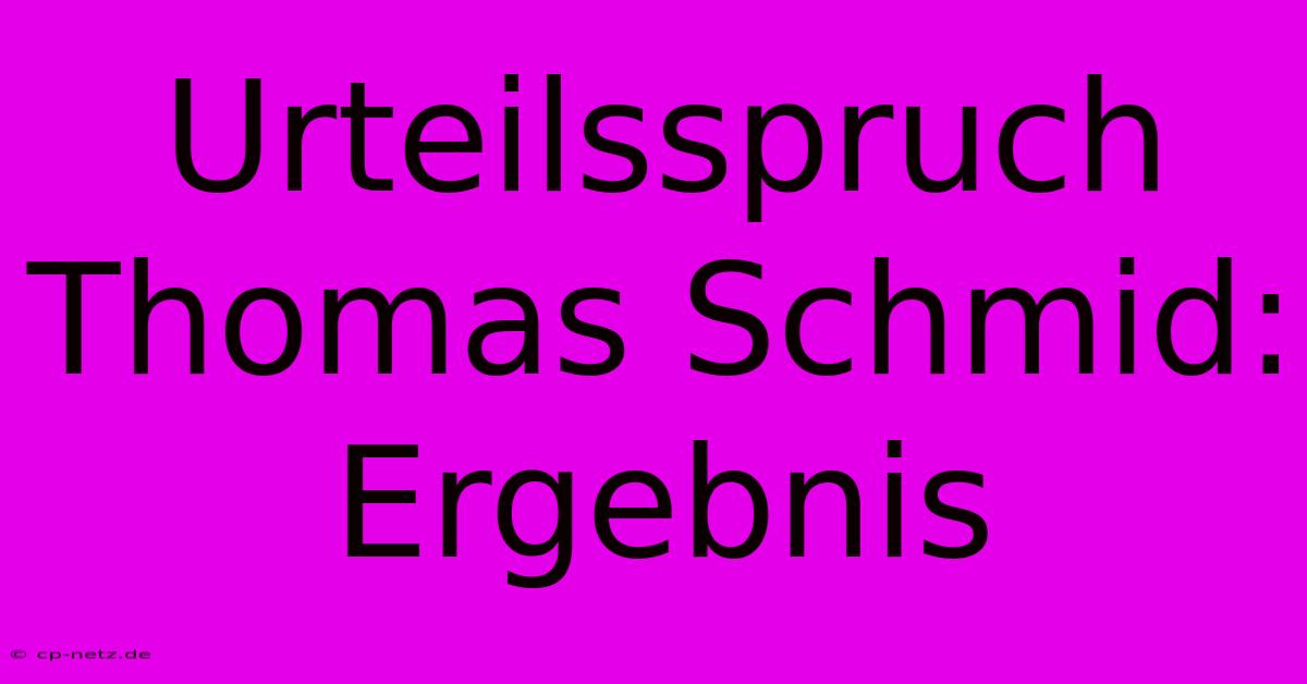 Urteilsspruch Thomas Schmid: Ergebnis