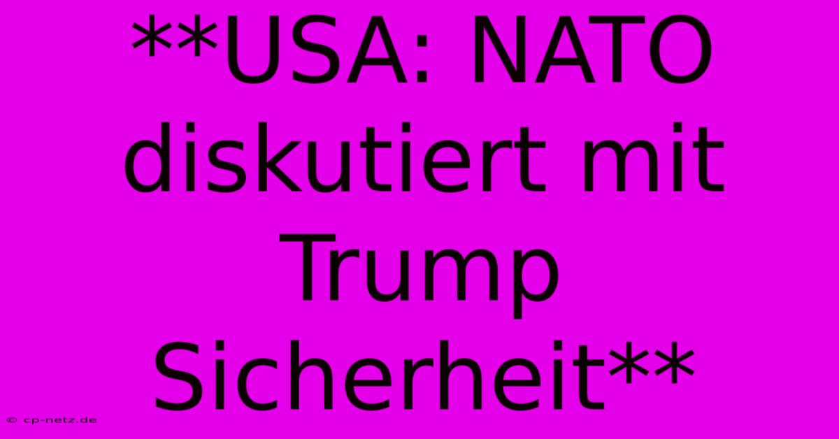 **USA: NATO Diskutiert Mit Trump  Sicherheit**