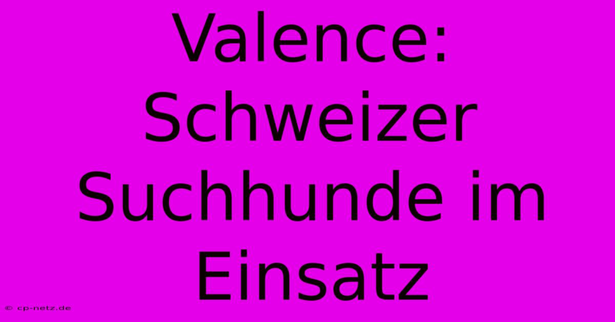 Valence: Schweizer Suchhunde Im Einsatz