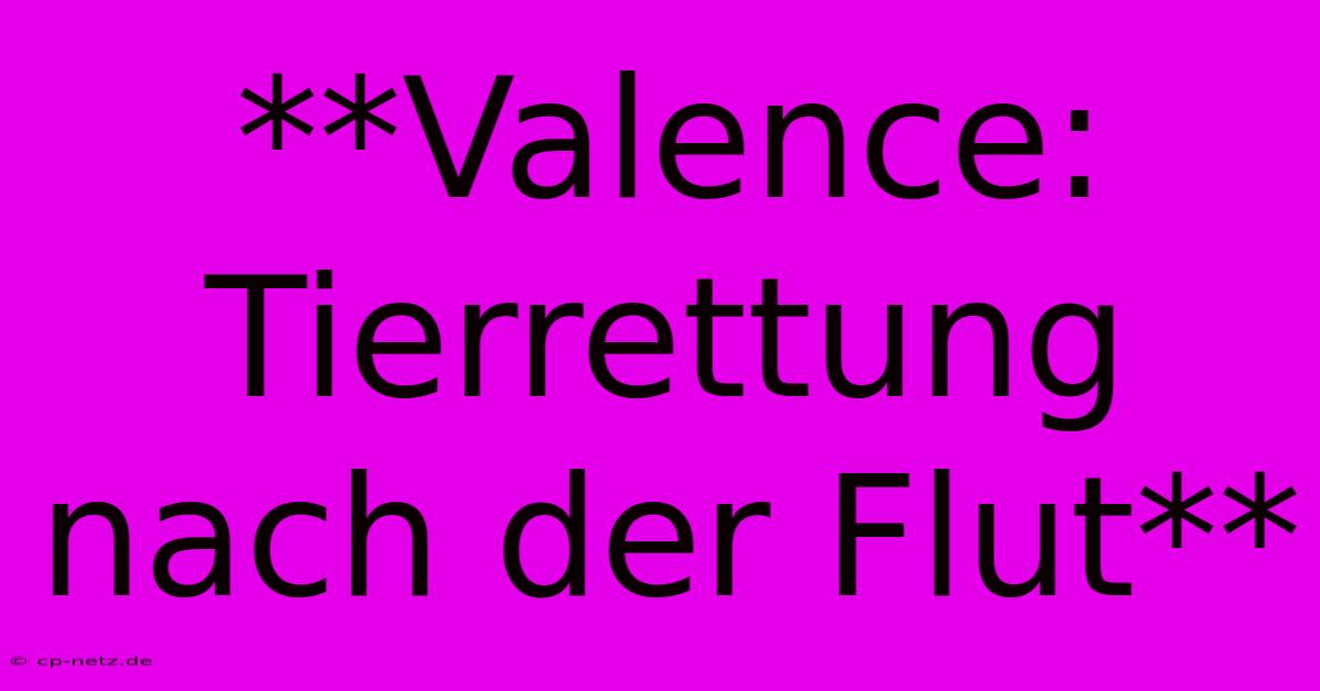 **Valence: Tierrettung Nach Der Flut**