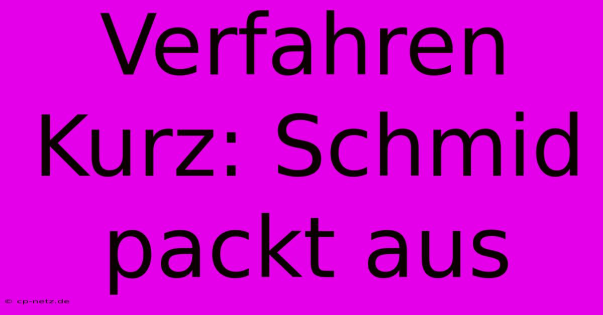 Verfahren Kurz: Schmid Packt Aus