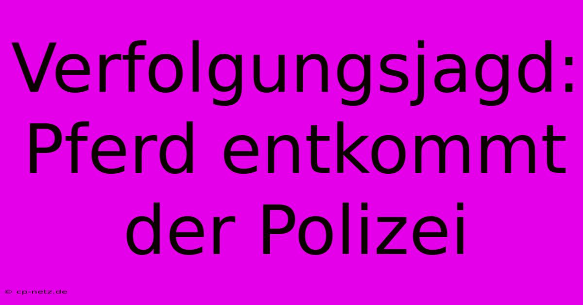 Verfolgungsjagd: Pferd Entkommt Der Polizei