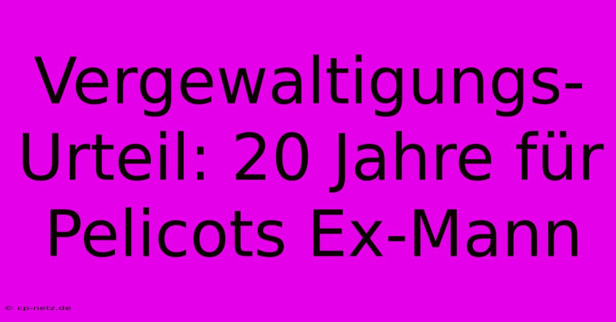 Vergewaltigungs-Urteil: 20 Jahre Für Pelicots Ex-Mann