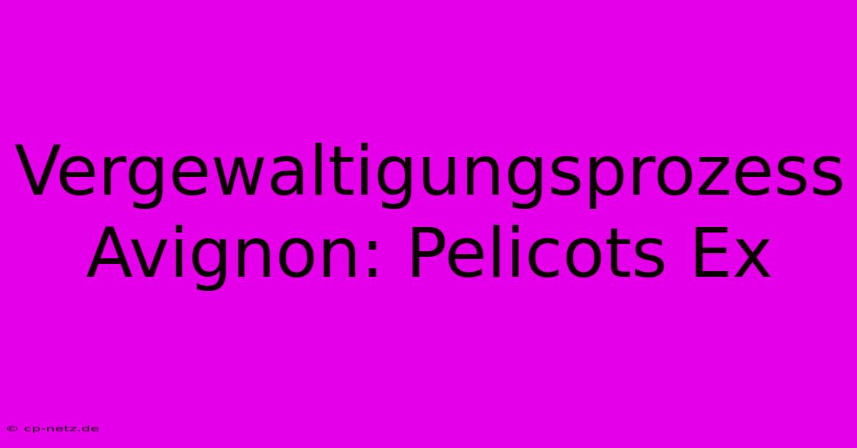 Vergewaltigungsprozess Avignon: Pelicots Ex