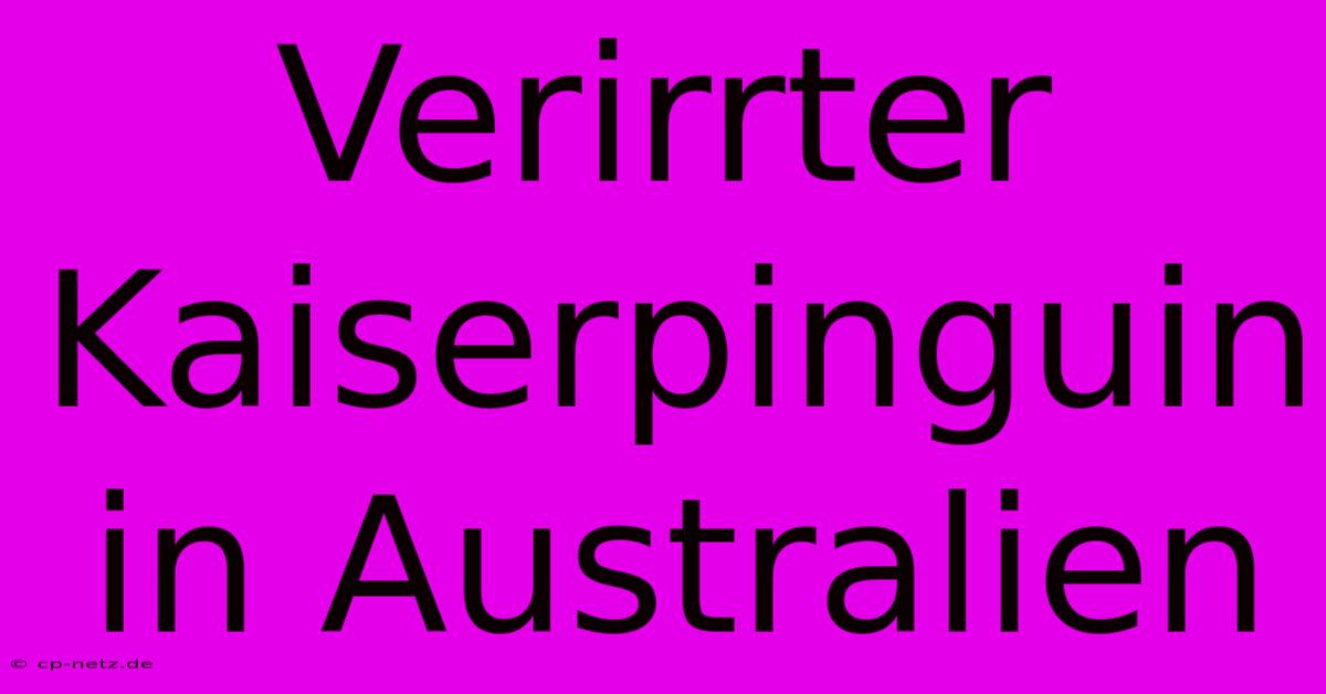 Verirrter Kaiserpinguin In Australien