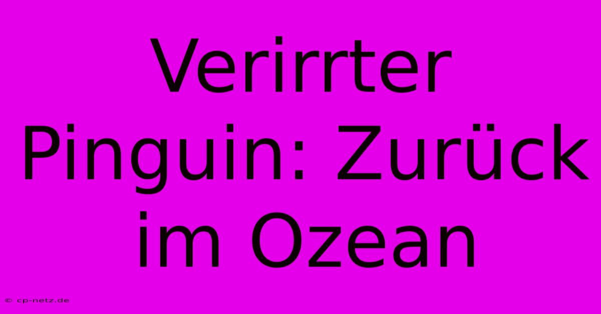 Verirrter Pinguin: Zurück Im Ozean