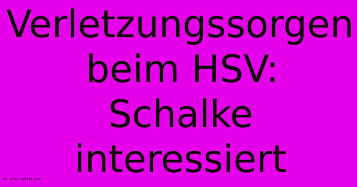 Verletzungssorgen Beim HSV: Schalke Interessiert