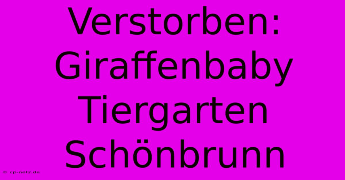 Verstorben: Giraffenbaby Tiergarten Schönbrunn