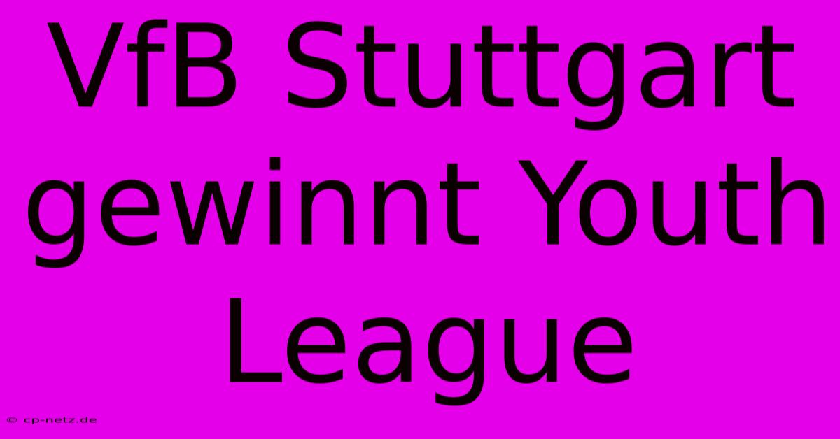 VfB Stuttgart Gewinnt Youth League