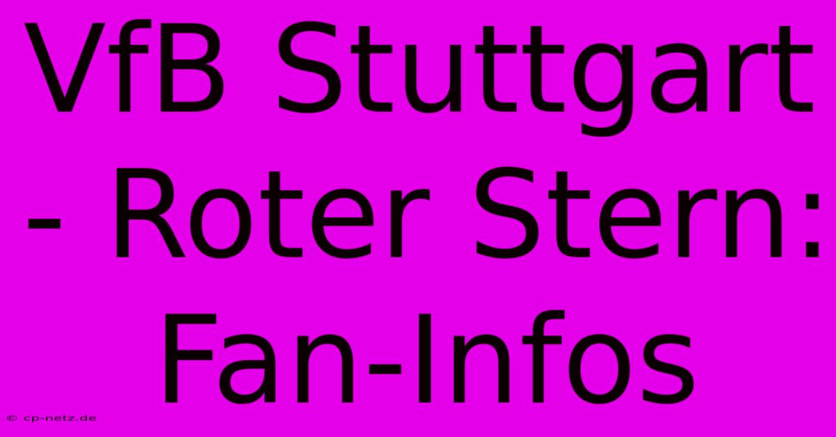 VfB Stuttgart - Roter Stern: Fan-Infos