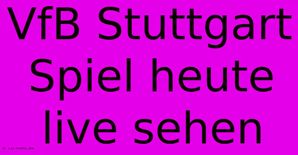 VfB Stuttgart Spiel Heute Live Sehen