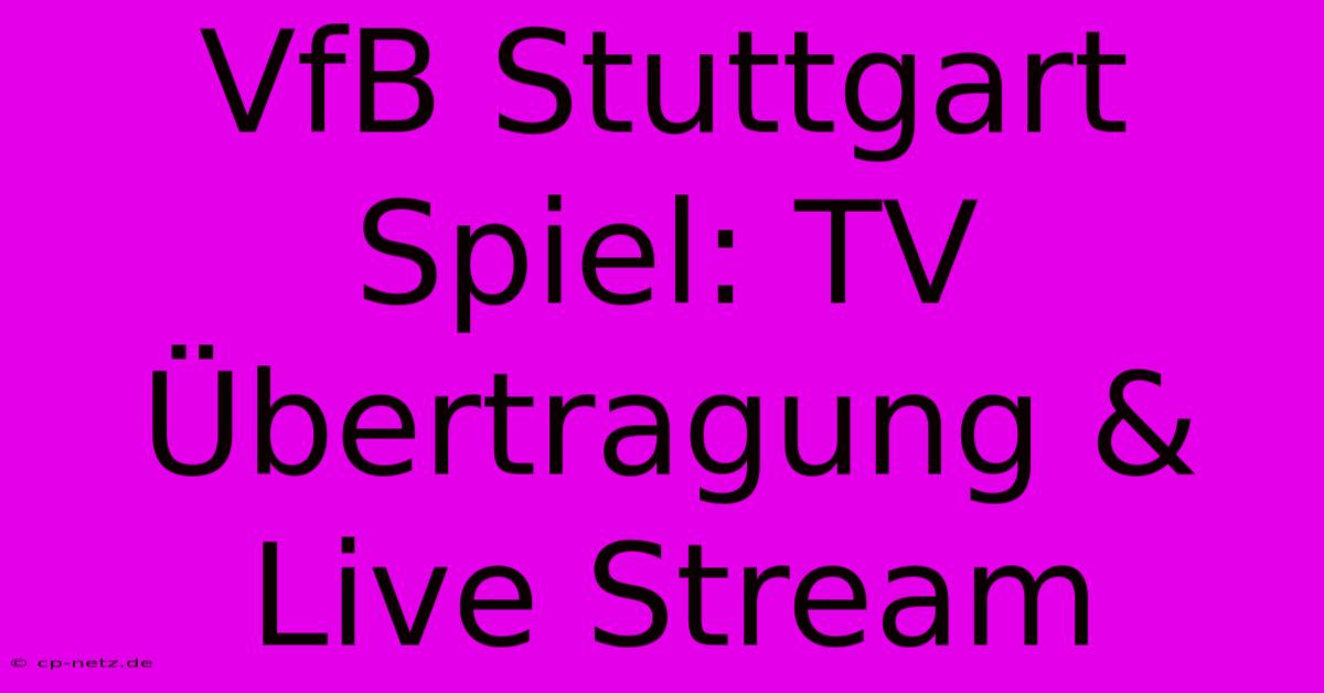 VfB Stuttgart Spiel: TV Übertragung & Live Stream