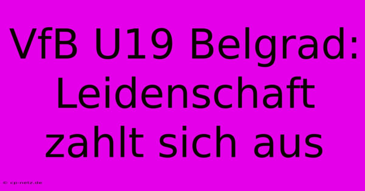 VfB U19 Belgrad:  Leidenschaft Zahlt Sich Aus