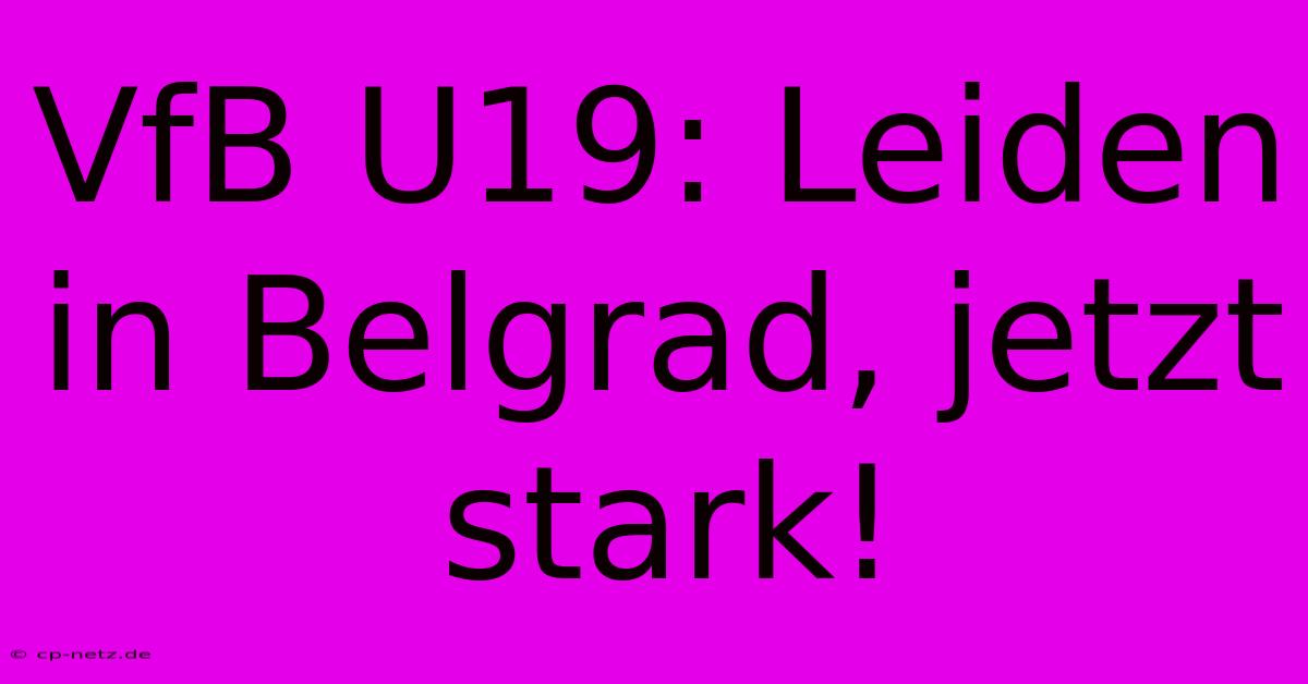 VfB U19: Leiden In Belgrad, Jetzt Stark!