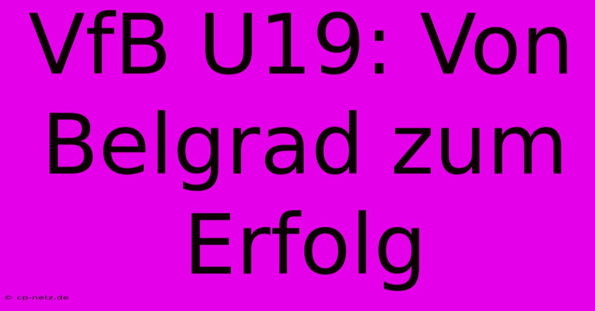 VfB U19: Von Belgrad Zum Erfolg