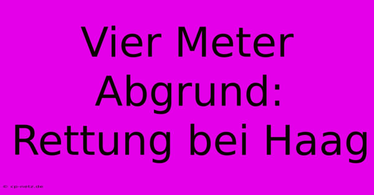 Vier Meter Abgrund: Rettung Bei Haag