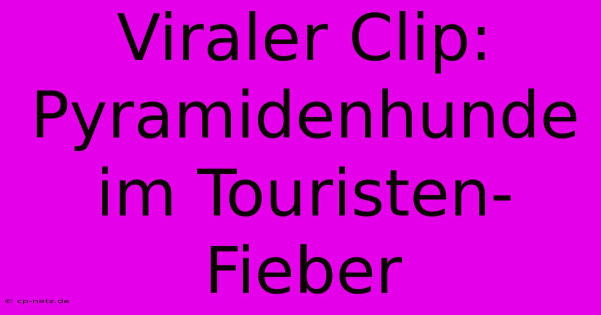 Viraler Clip: Pyramidenhunde Im Touristen-Fieber