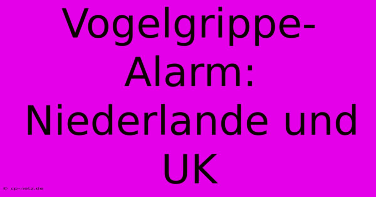 Vogelgrippe-Alarm: Niederlande Und UK