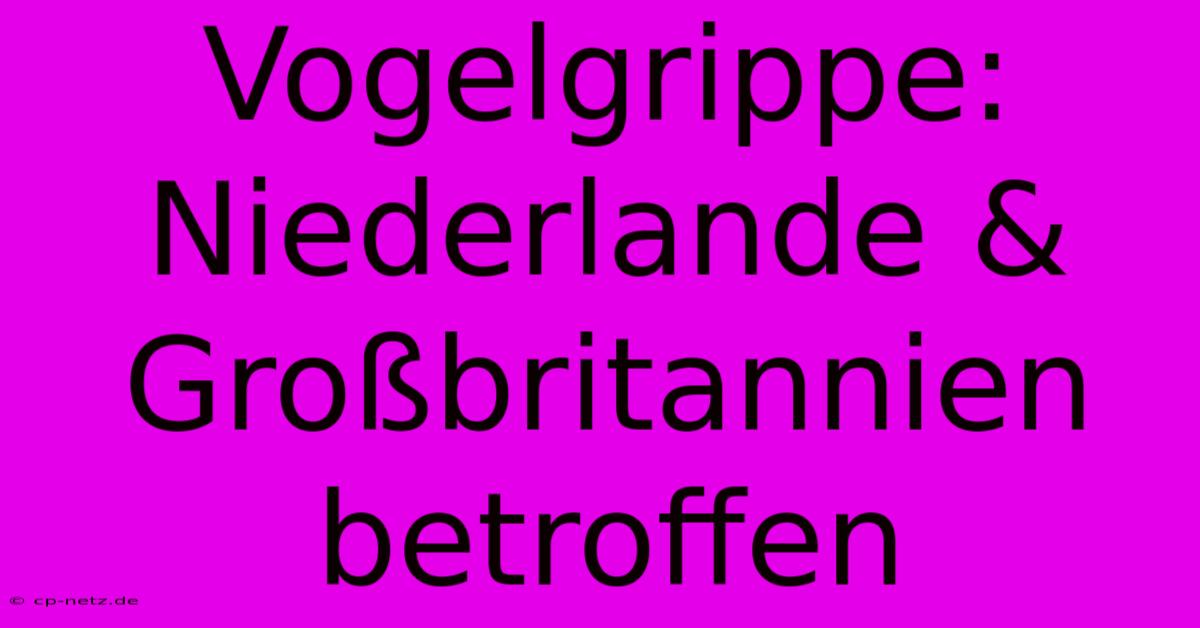 Vogelgrippe: Niederlande & Großbritannien Betroffen