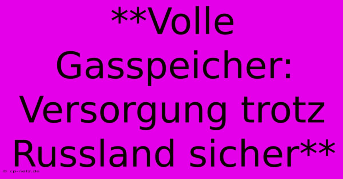 **Volle Gasspeicher: Versorgung Trotz Russland Sicher**