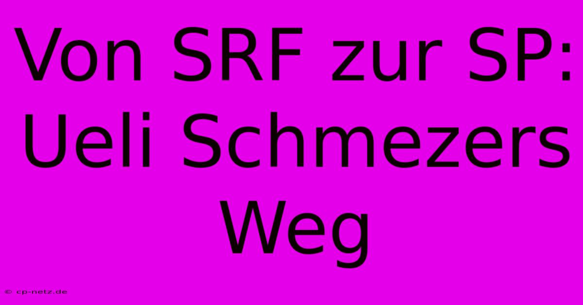 Von SRF Zur SP: Ueli Schmezers Weg