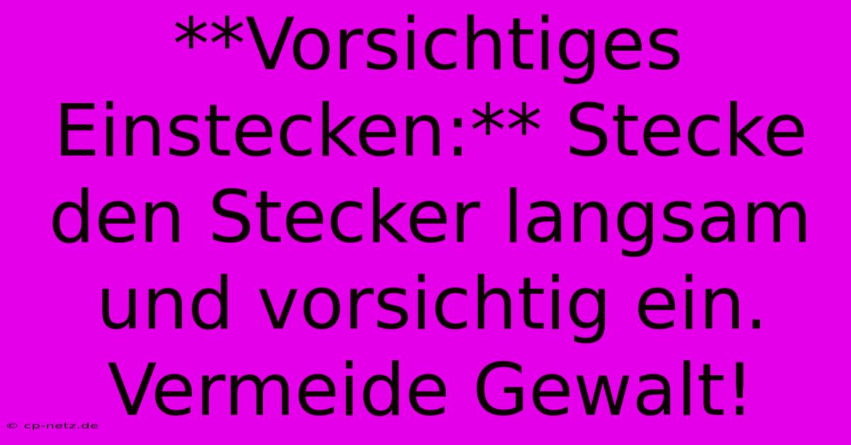 **Vorsichtiges Einstecken:** Stecke Den Stecker Langsam Und Vorsichtig Ein.  Vermeide Gewalt!