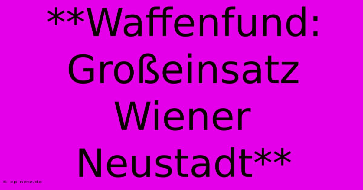 **Waffenfund: Großeinsatz Wiener Neustadt**