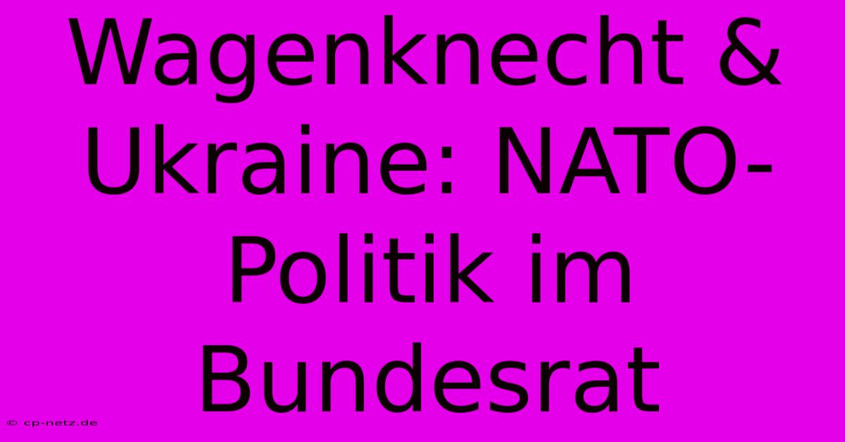 Wagenknecht & Ukraine: NATO-Politik Im Bundesrat