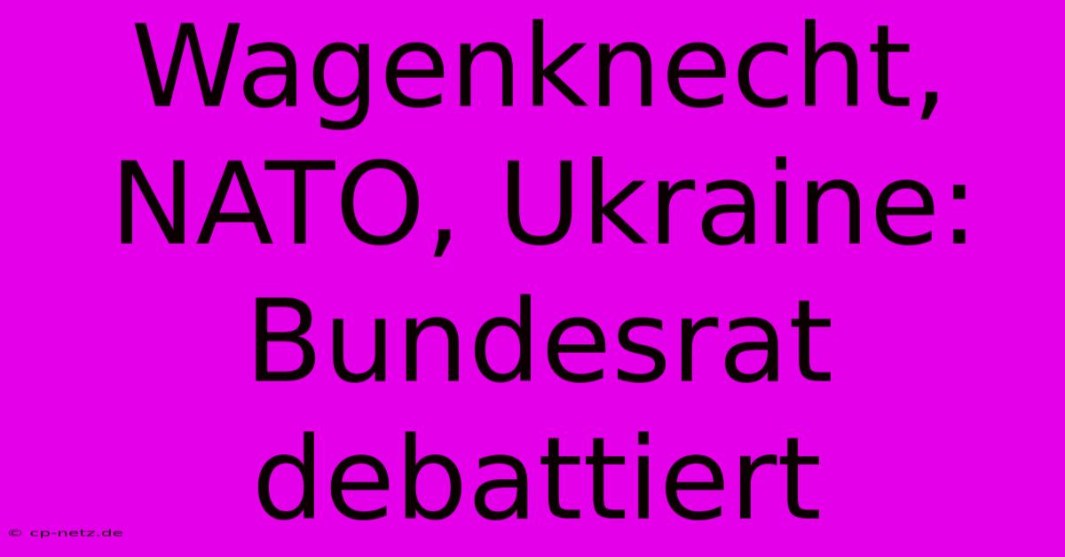 Wagenknecht, NATO, Ukraine: Bundesrat Debattiert