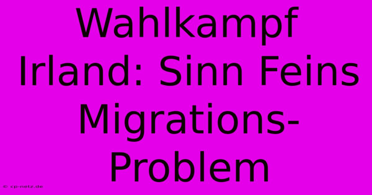 Wahlkampf Irland: Sinn Feins Migrations-Problem