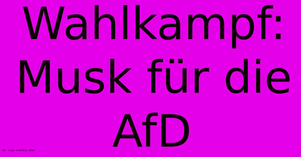 Wahlkampf: Musk Für Die AfD